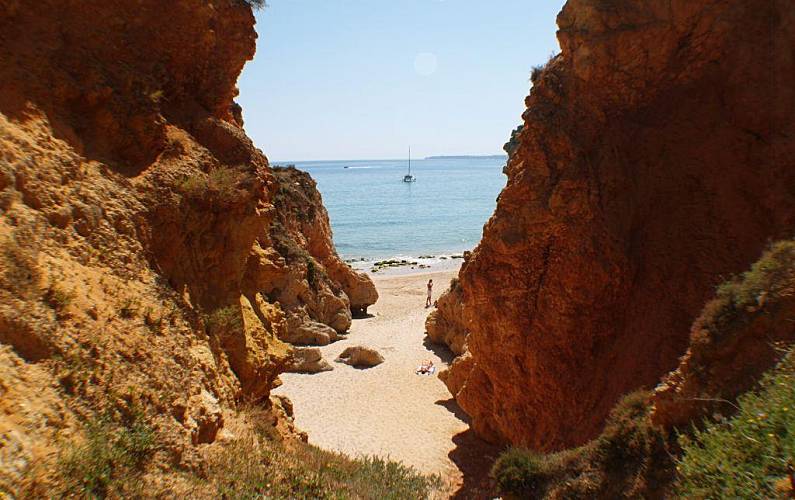 Pescador Arredores Algarve-Faro Lagoa Apartamento - Arredores