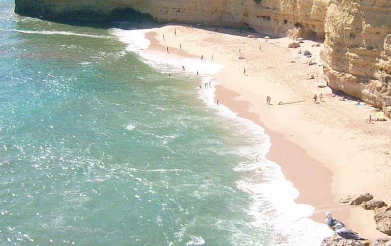 Pescador Arredores Algarve-Faro Lagoa Apartamento - Arredores