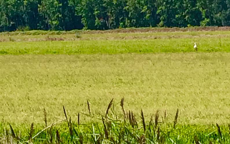 VIVENDA Arredores Setúbal Grândola vivenda - Arredores