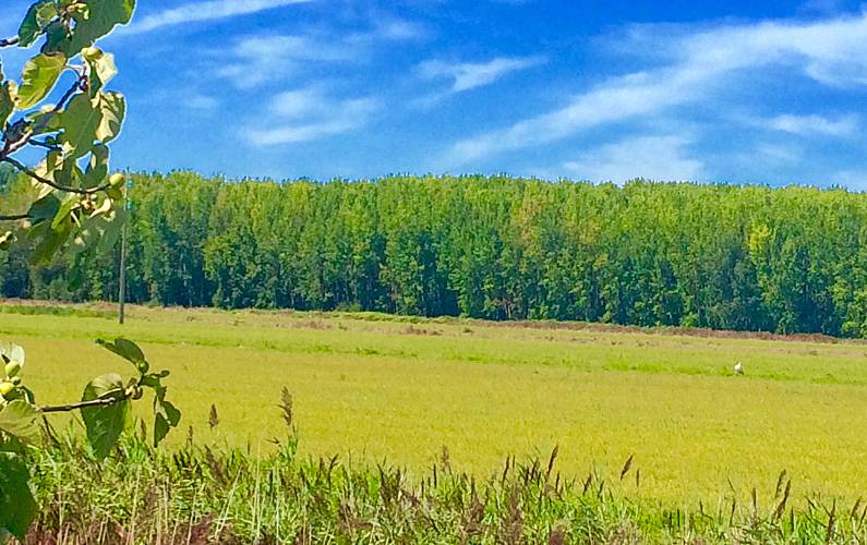 VIVENDA Arredores Setúbal Grândola vivenda - Arredores