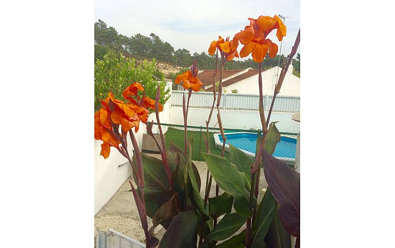 VIVENDA Exterior da casa Setúbal Grândola vivenda - Exterior da casa