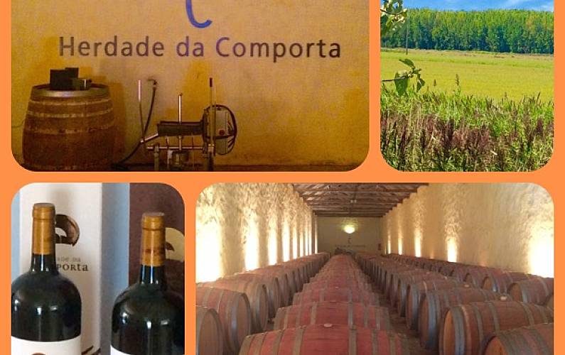 VIVENDA Actividades próximas Setúbal Grândola vivenda - Actividades próximas