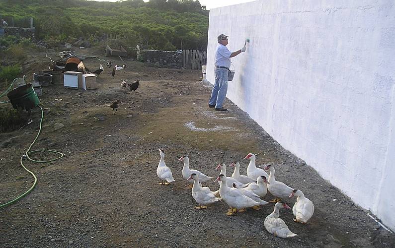 Casa Exterior da casa Ilha Terceira Vila da Praia da Vitória Casa rural - Exterior da casa