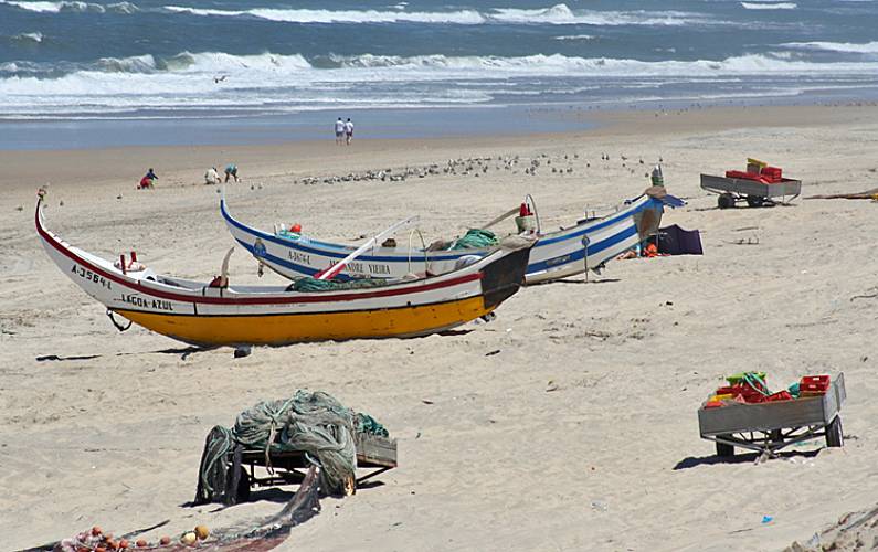 Casa Arredores Coimbra Mira Apartamento - Arredores