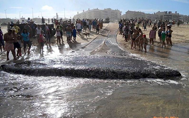 Casa Arredores Coimbra Mira Apartamento - Arredores