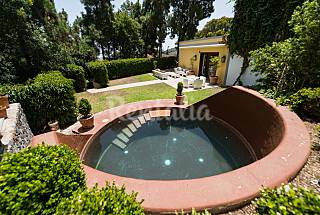 Villa de 1 habitaciones en Santa Brígida