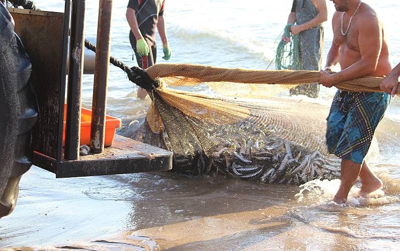 Casa(4 Actividades próximas Setúbal Seixal vivenda - Actividades próximas