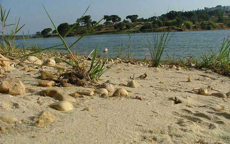 Vivenda Exterior da casa Portalegre Ponte de Sor Villa rural - Exterior da casa