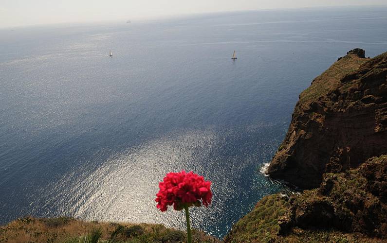 Vivenda Vistas da casa Ilha da Madeira Santa Cruz vivenda - Vistas da casa
