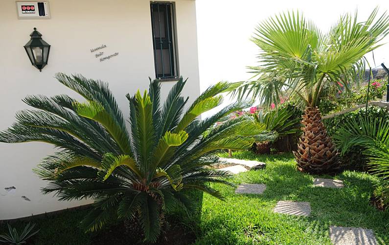 Vivenda Jardim Ilha da Madeira Santa Cruz vivenda - Jardim