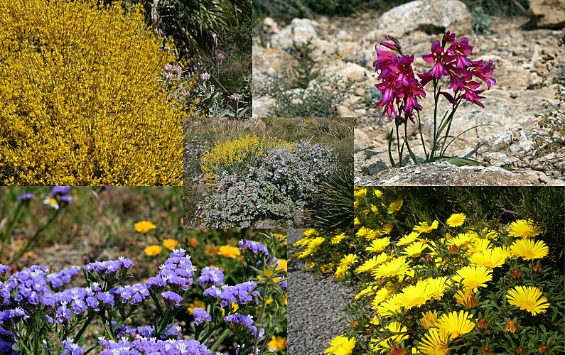 Apartamento Arredores Almeria Níjar Apartamento - Arredores