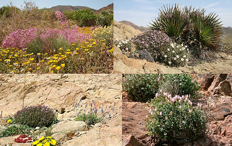 Apartamento Arredores Almeria Níjar Apartamento - Arredores