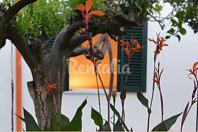 Casa in affitto a 400 m dalla spiaggia Napoli