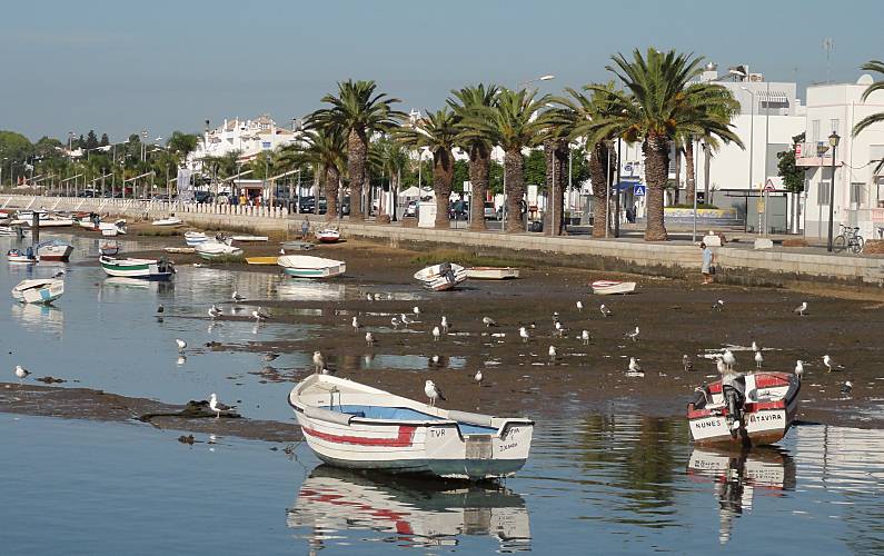 Apartamento Arredores Algarve-Faro Tavira Apartamento - Arredores