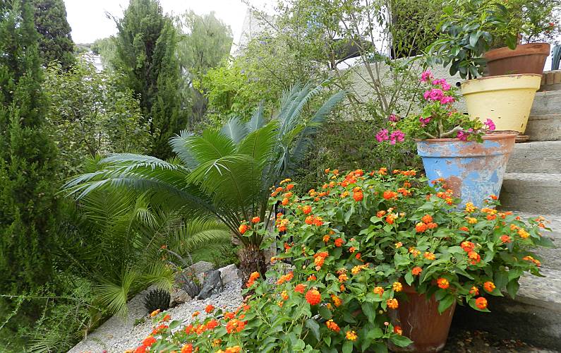 Casa Jardim Granada Almuñécar casa - Jardim