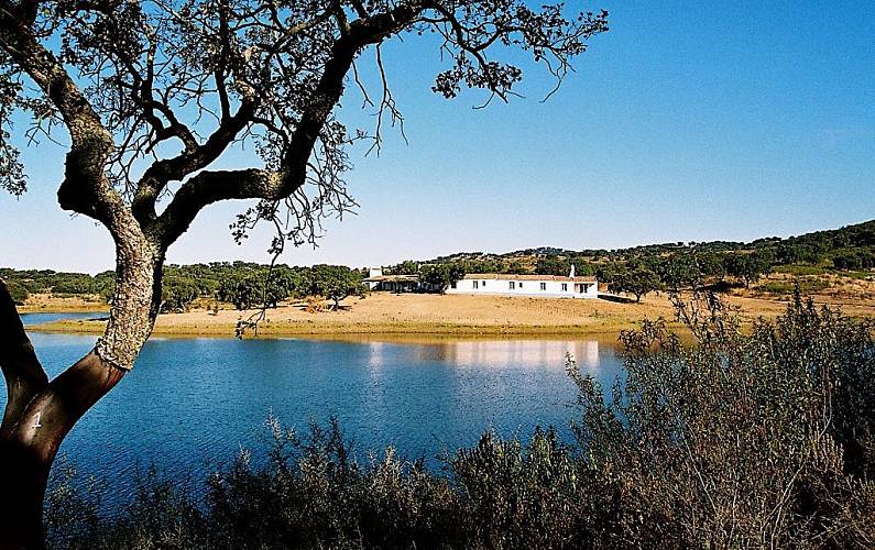 Vivenda Vistas da casa Évora Redondo Villa rural - Vistas da casa