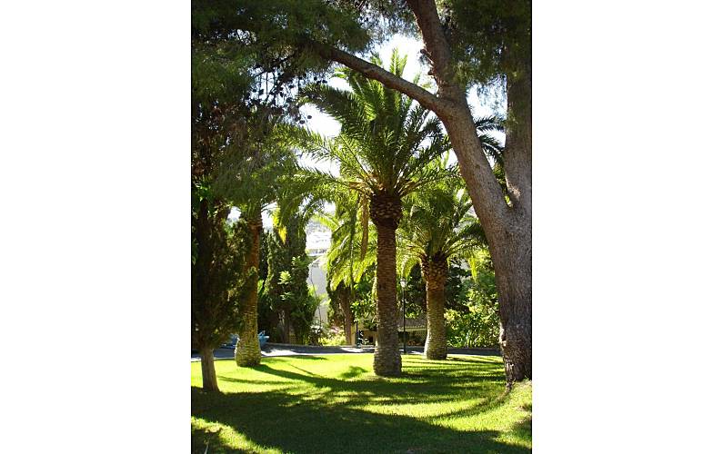 Casa Jardim Granada Almuñécar casa - Jardim