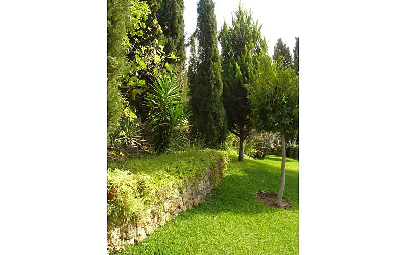 Casa Jardim Granada Almuñécar casa - Jardim