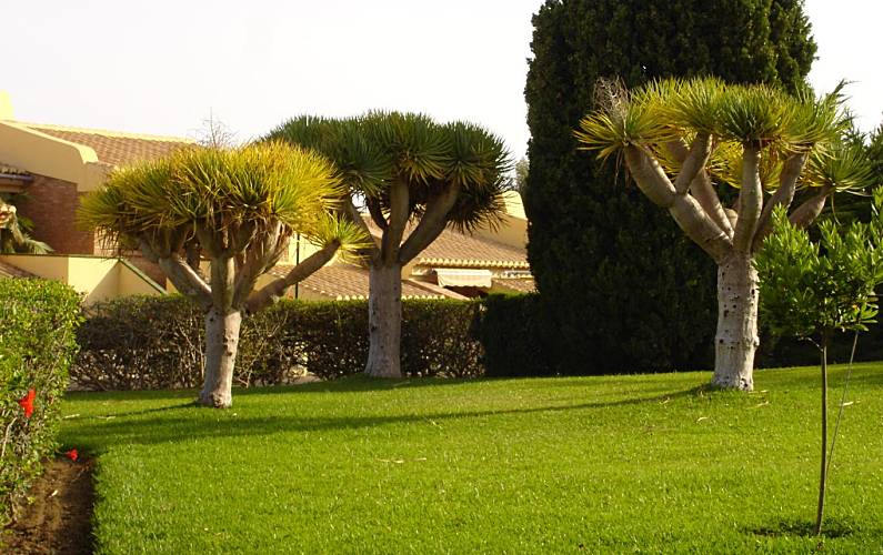 Casa Jardim Granada Almuñécar casa - Jardim