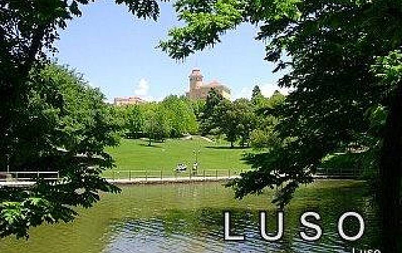 Apartamento Arredores Aveiro Mealhada Apartamento - Arredores