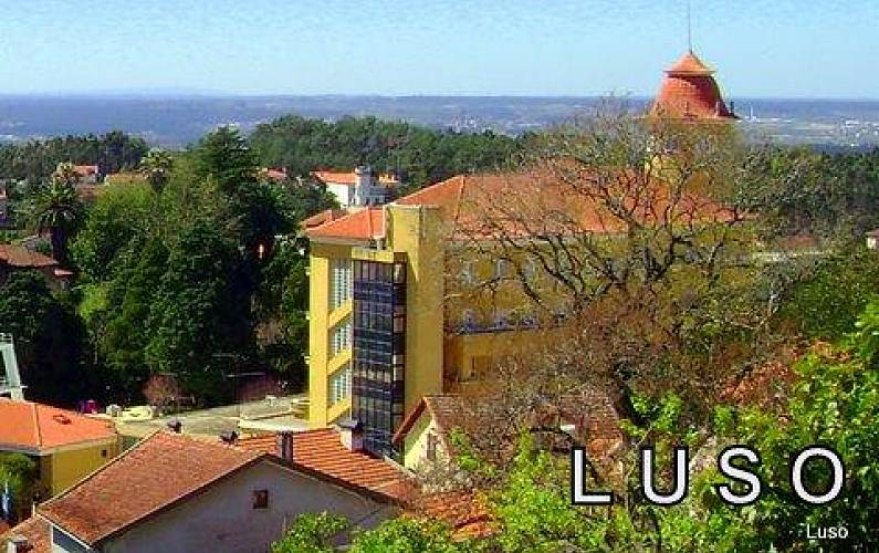 Apartamento Vistas da casa Aveiro Mealhada Apartamento - Vistas da casa