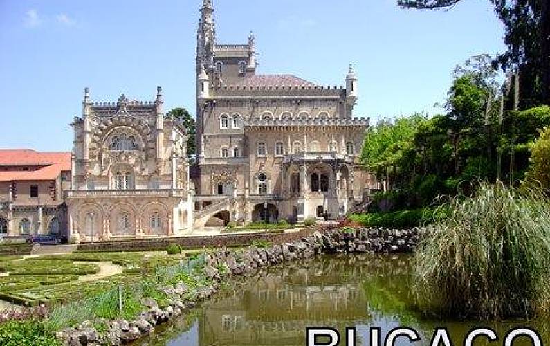 Apartamento Arredores Aveiro Mealhada Apartamento - Arredores