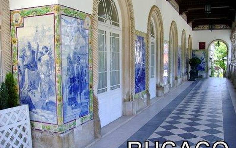 Apartamento Arredores Aveiro Mealhada Apartamento - Arredores