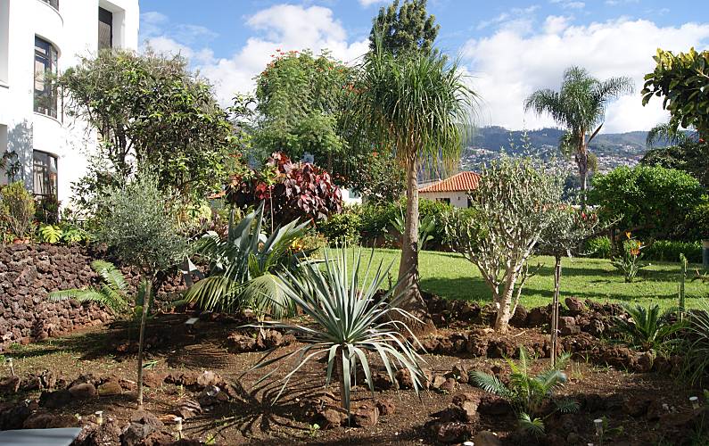 Apartamento Jardim Ilha da Madeira Funchal Apartamento - Jardim