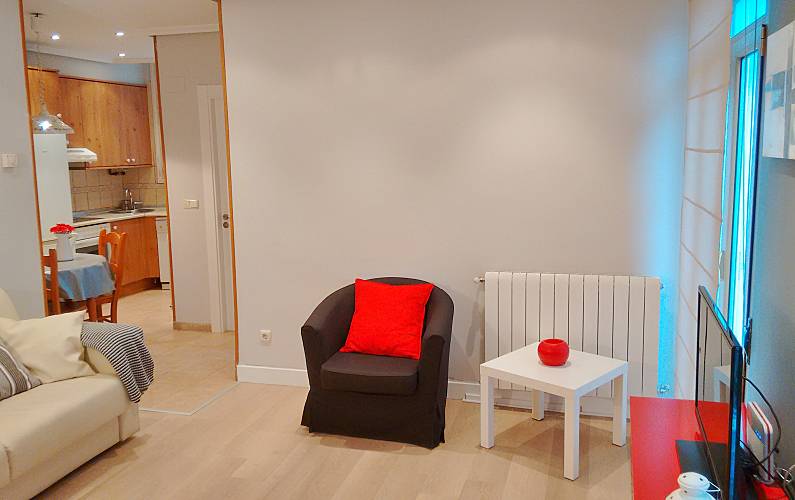 Apartm. Living-room Gipuzkoa Donostia/San Sebastián Apartment - Living-room