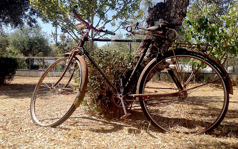 Vivenda Outros Portalegre Nisa Villa rural - Outros