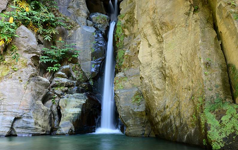 Casa Arredores Ilha de São Miguel Ribeira Grande casa - Arredores