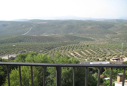 Casa Vista dalla casa Jaén Arjona casa - Vista dalla casa
