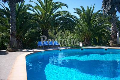 Beco Tropical Leiria