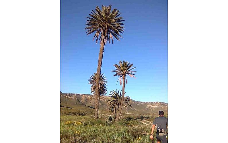 Casa Actividades próximas Almeria Níjar casa - Actividades próximas