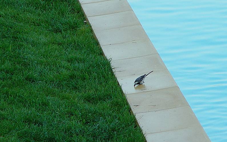 Casa Piscina Viseu Cinfães Casa rural - Piscina