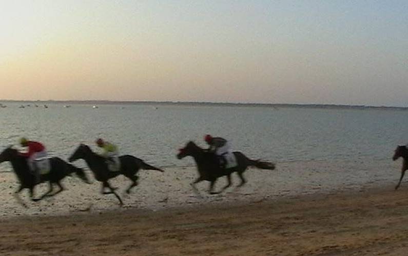Apartamento Vistas da casa Cádis Sanlúcar de Barrameda Apartamento - Vistas da casa