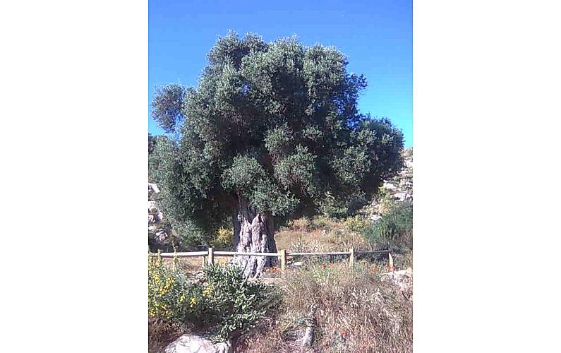 Casa Arredores Almeria Níjar casa - Arredores