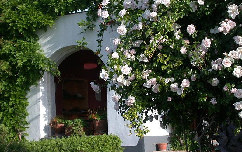 Vivenda Jardim Évora Reguengos de Monsaraz Villa rural - Jardim