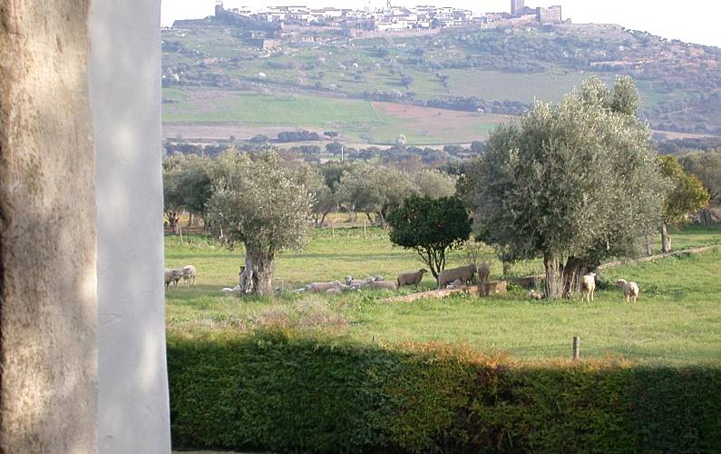 Vivenda Vistas da casa Évora Reguengos de Monsaraz Villa rural - Vistas da casa