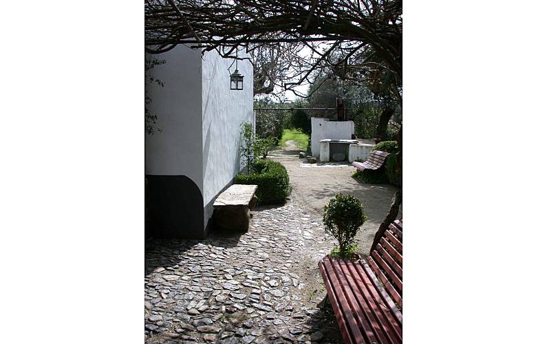 Vivenda Jardim Évora Reguengos de Monsaraz Villa rural - Jardim