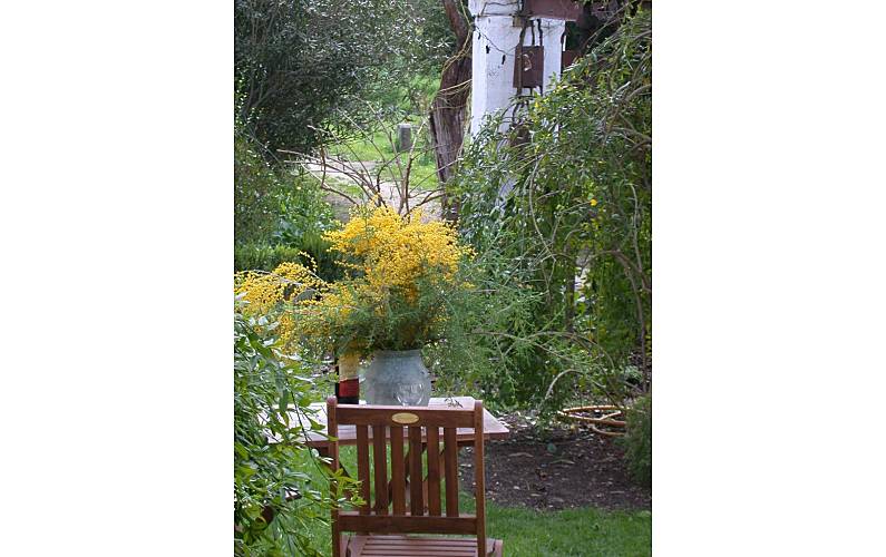 Vivenda Jardim Évora Reguengos de Monsaraz Villa rural - Jardim