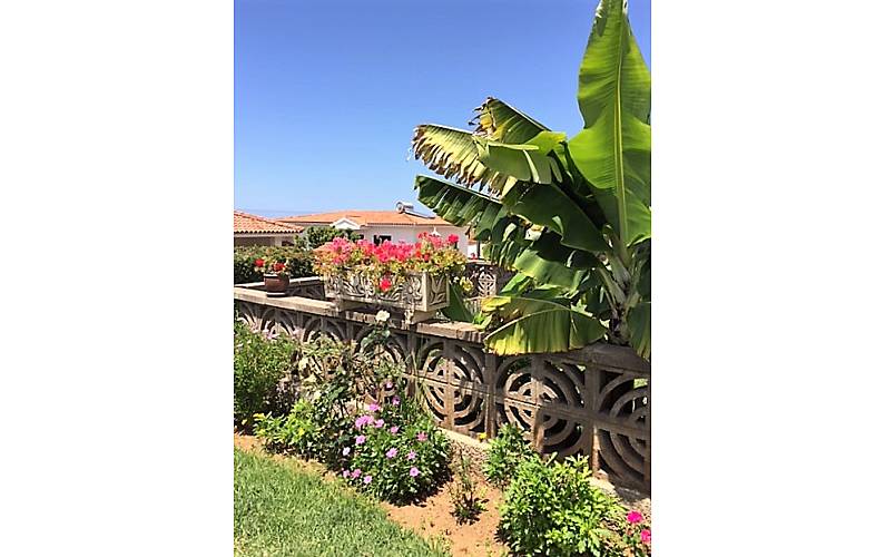 Casa Jardim Tenerife La Orotava casa - Jardim