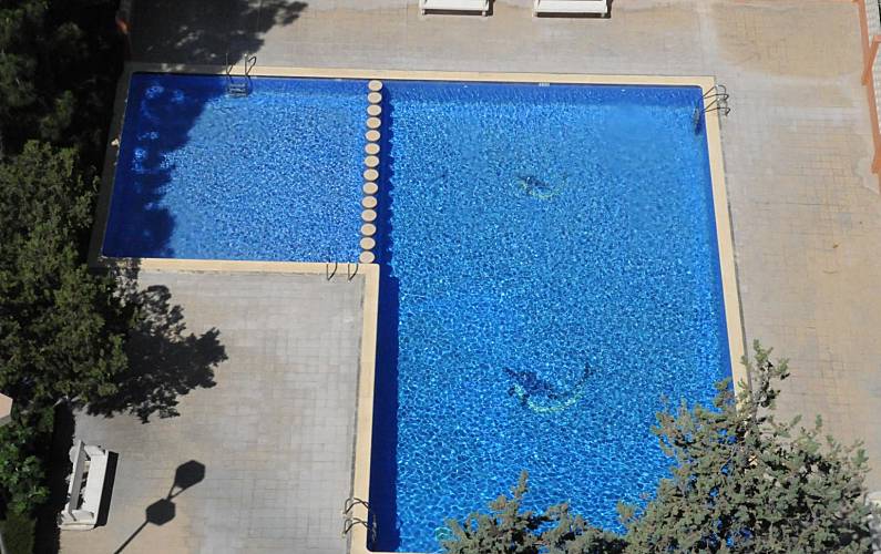 Apartamento Piscina Alicante Benidorm Apartamento - Piscina