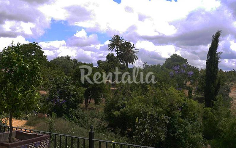 Magnifica Hacienda de Olivar para 20 personas - Arcos de la Frontera