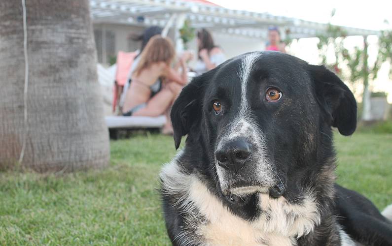 Monte Évora Arraiolos Casa rural - 