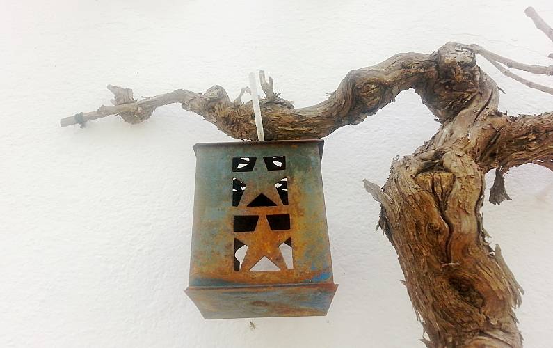 Monte Évora Arraiolos Casa rural - 