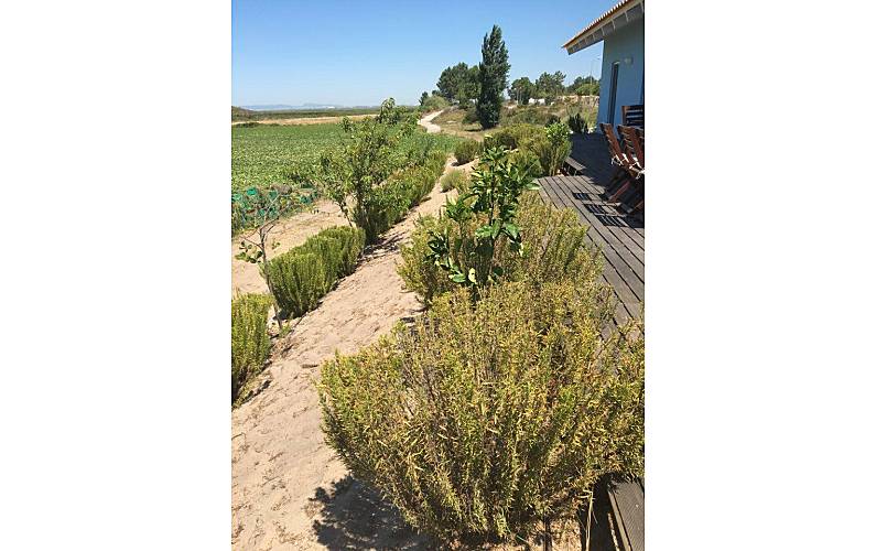 Casa Setúbal Alcácer do Sal vivenda - 