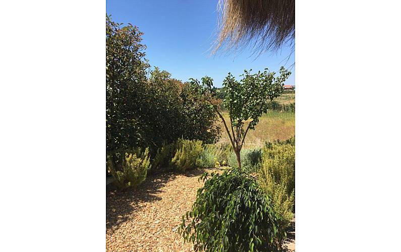 Casa Setúbal Alcácer do Sal vivenda - 