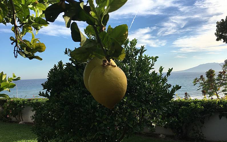 Vivenda Jardim Málaga Málaga vivenda - Jardim