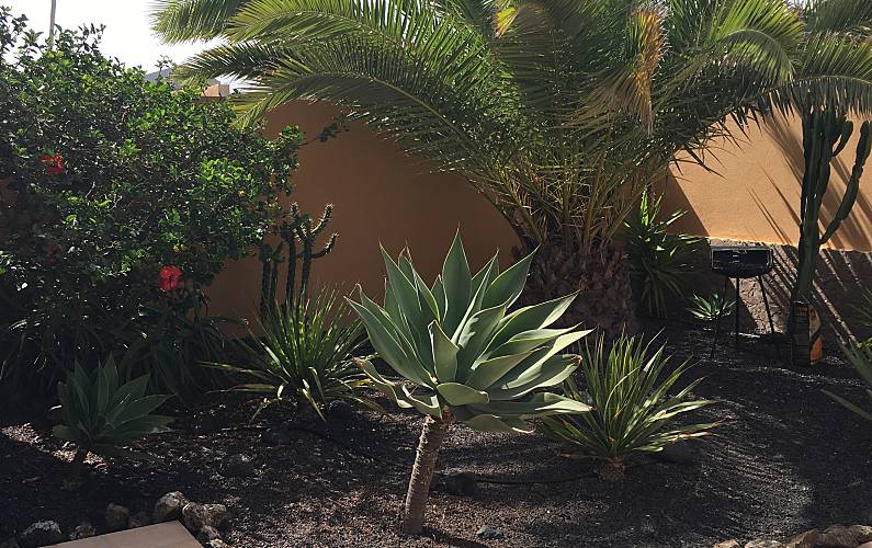 Vivenda Jardim Forteventura La Oliva vivenda - Jardim